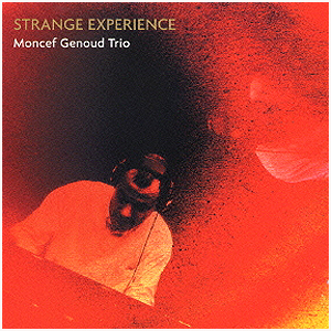 Strange Experience - Moncef Genoud Trio
