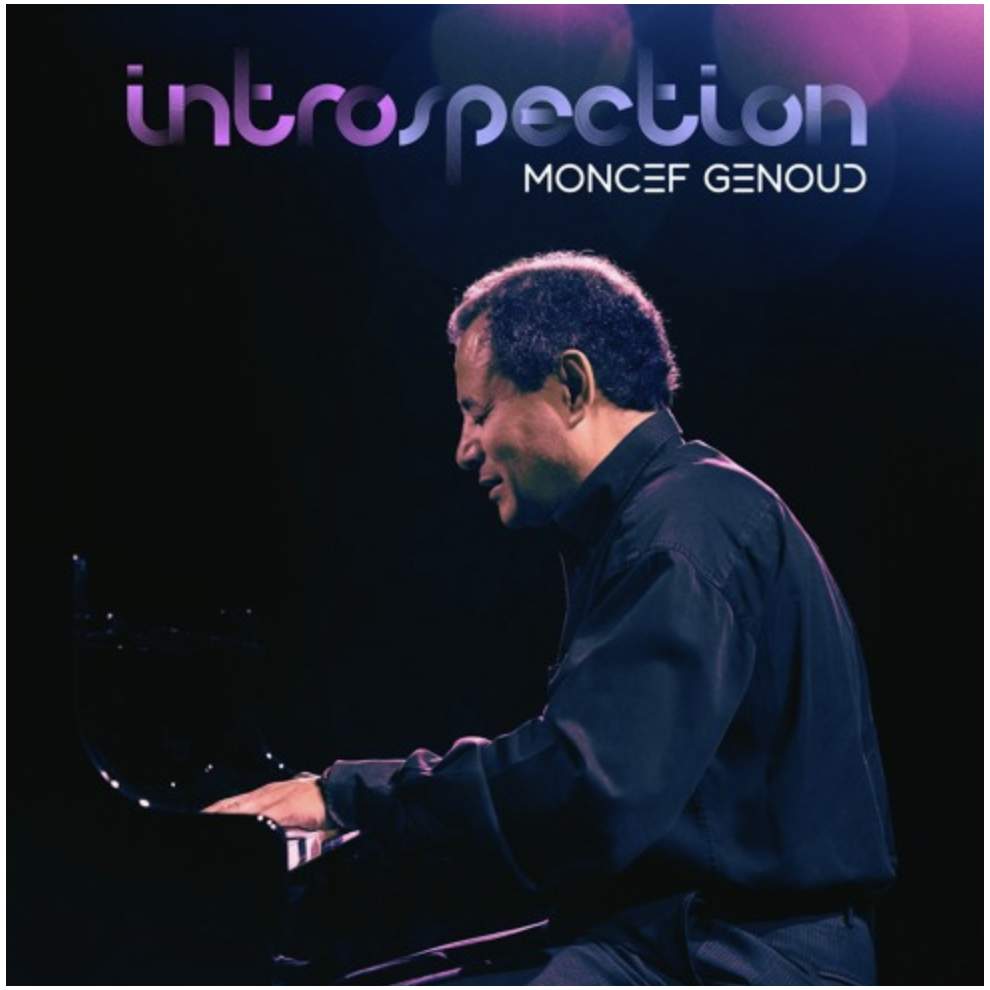 Introspection - Moncef Genoud