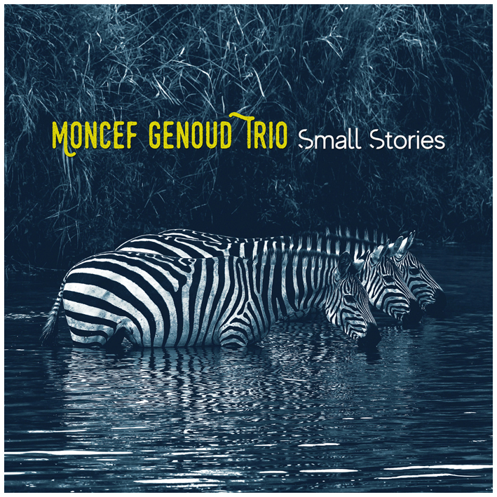Small Stories - Moncef Genoud Trio